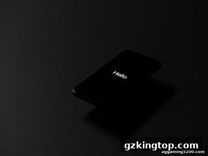 AG真人 gzkingtop