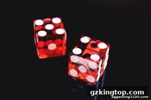 AG真人 gzkingtop